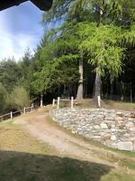 Landschaft - Jessi - Top-Hundeurlaub