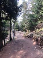 Landschaft - Jessi - Top-Hundeurlaub