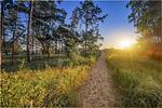 Ferienhaus Zirchow 2 - Top-Hundeurlaub
