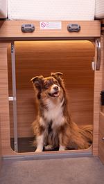 Wohnmobile 4Pfoten im Stuttgart und Heilbronn - Top-Hundeurlaub