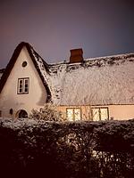 Inselidyll Alter Friesenhof - Top-Hundeurlaub