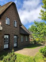 Hauptansicht - Triibergem 39 - DHH - Top-Hundeurlaub