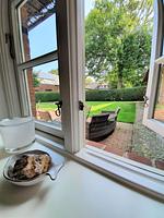 Garten - Traumkoje - Wohnung 5 - Top-Hundeurlaub