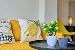 Casa Limone - App. 7 - Top-Hundeurlaub