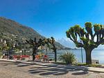 tolle Strandpromenade zum Entspannen und Speisen - Chalet Nest - Top-Hundeurlaub