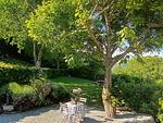 gepflegter Garten mit vielen schattenspendenden Bäumen - Chalet Nest - Top-Hundeurlaub