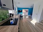 Küche / Küchenzeile - Freiraum-Ferienwohnung Fehmarn Petersdorf - Top-Hundeurlaub