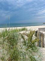 Strand - Ferienwohnung "Dünennest" 5723 Marina Wendtorf - Top-Hundeurlaub