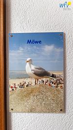Dekoratives Detail - Ferienwohnung Möwe - Top-Hundeurlaub