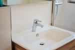 Schwalbennest_Duschbad a - FeWo Schwalbennest - Top-Hundeurlaub