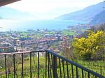 gute Aussicht auf die Nachbarschaft - Rustico ai Ronchi - Top-Hundeurlaub