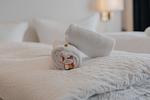 Schlafzimmer - Ferienwohnung - Ostseekoje - Eckernförde - Deine Auszeit - Strand- & stadtnah - Top-Hundeurlaub