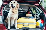 Ferienwohnung Haus Vietzen 2 - Top-Hundeurlaub
