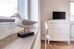 Haus Sonnengelb - Top-Hundeurlaub