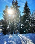 Fuchsbau Saig  - Top-Hundeurlaub