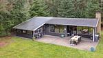 exterior - Ferienhaus für 6 Personen (112 m²) in Store Fuglede - Top-Hundeurlaub