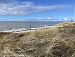 Strand - Dünenblick - Top-Hundeurlaub