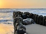 Strand - Dünenblick - Top-Hundeurlaub
