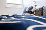 Schlafzimmer - Strandkieker Sierksdorf - Top-Hundeurlaub
