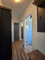 5-1 - Top-Hundeurlaub