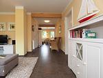 Inselhaus Heringsdorf EG - Top-Hundeurlaub