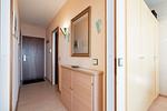 Dekoratives Detail - App.294 - Strandlage - Top-Hundeurlaub