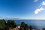 Meerblick - App.294 - Strandlage - Top-Hundeurlaub