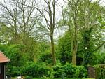 Gartenblick - Gesine's Huuske - Top-Hundeurlaub