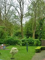Gartenblick - Gesine's Huuske - Top-Hundeurlaub