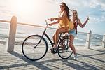 Blaue Welle 15 - Bunte Fische - Top-Hundeurlaub