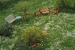 Gartenblick - Maisonette-Wohnung B1**** - Top-Hundeurlaub