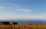 Landschaft - Maisonette-Wohnung B1**** - Top-Hundeurlaub