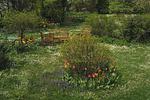 Gartenblick - Maisonette-Wohnung B1**** - Top-Hundeurlaub