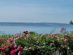 Landschaft - Maisonette-Wohnung B1**** - Top-Hundeurlaub