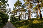 Villa Hubertus 01 - Top-Hundeurlaub