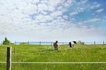 Landschaft - FeWo Mondgelee: Balkon - Top-Hundeurlaub