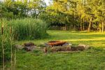 Haus Ziegelmacher - Achten - Top-Hundeurlaub