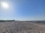 Strand - 49.2.M Ankerplatz - Top-Hundeurlaub