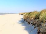 Strand - 49.2.M Ankerplatz - Top-Hundeurlaub