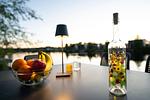Chalet Waterfront Kampen Nr. 728 - Top-Hundeurlaub