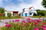 Bungalow Rugia Breege - Top-Hundeurlaub