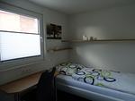 Birkenhain 3a - Lastering Ferienhäuser & Apartments - Top-Hundeurlaub