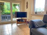 Wohnzimmer - Ferienhaus VogelMeer - Top-Hundeurlaub