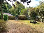Gartenblick - Ferienhaus VogelMeer - Top-Hundeurlaub