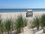 Ostseeperle Maasholm - Top-Hundeurlaub