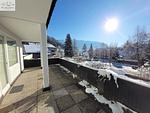 Landschaft - Apartment Adam by FiS - Fun in Styria - Top-Hundeurlaub
