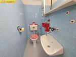 Gäste-WC - Apartment Adam by FiS - Fun in Styria - Top-Hundeurlaub