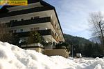 Nachbarschaft - Apartment Adam by FiS - Fun in Styria - Top-Hundeurlaub