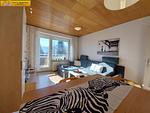 Wohnzimmer - Apartment Dolce Vita by FiS - Fun in Styria - Top-Hundeurlaub