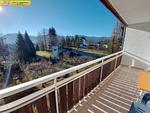 Berge - Apartment Dolce Vita by FiS - Fun in Styria - Top-Hundeurlaub